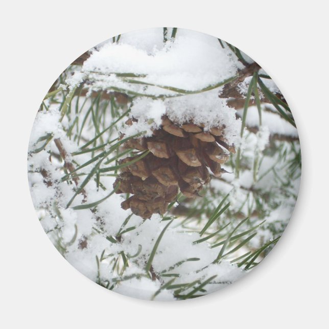 Íman Snowy Pine Cone I Winter Nature Photoshop (Frente)