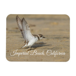 Íman Snowy Plover Stretch Imperial Beach California