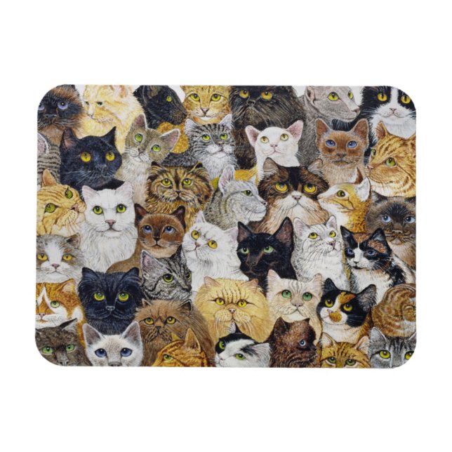 Íman Só o Sussurro do Gato (Horizontal)