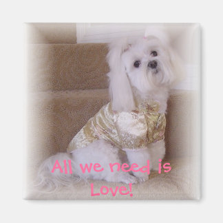 Íman Só precisamos de amor!