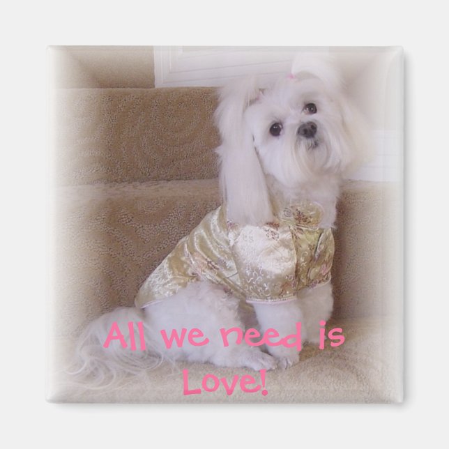 Íman Só precisamos de amor! (Frente)