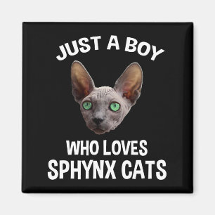 Íman Só Um Rapaz Que Adora Gatos De Sphynx