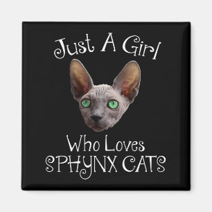 Íman Só Uma Garota Que Adora Gatos De Sphynx