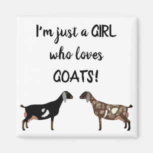Íman Só uma garota que ama cabras - Nubian Dairy Goat