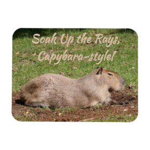 Íman Soak Up the Rays, estilo Capybara!