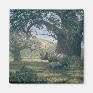 Íman Sob A Árvore Baobab