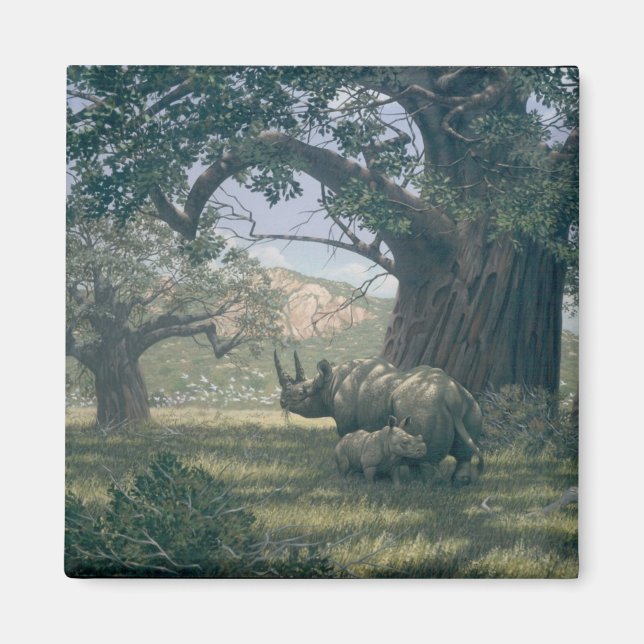 Íman Sob A Árvore Baobab (Frente)