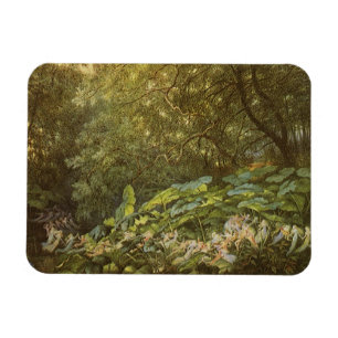 Íman Sob as Folhas da Doca por Richard Doyle, Arte das