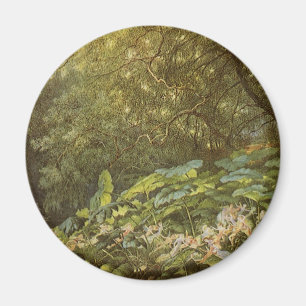 Íman Sob as Folhas de Choque de Richard Doyle, Fairy Ar