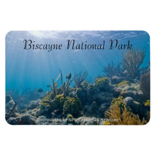 Íman Sob o mar, parque nacional de Biscayne