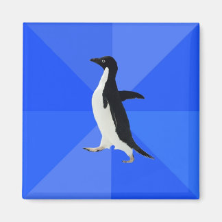Íman Socially Awkward penguin_.