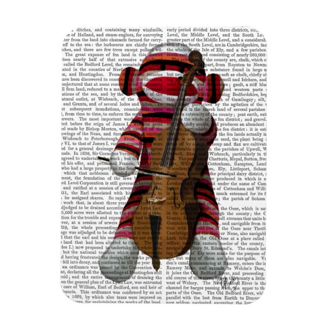 Íman Sock Monkey e Cello (Vertical)