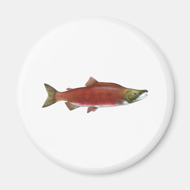 Íman Sockeye Salmon (Frente)