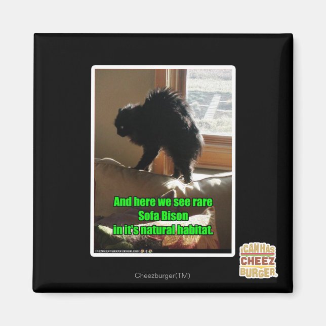 Íman Sofa Bison (Frente)