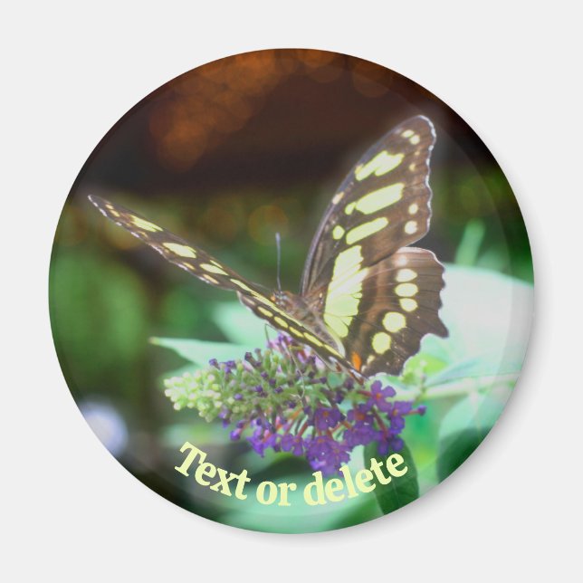 Íman Soft Butterfly On Flower Nature Personalized (Frente)