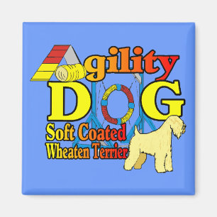 Íman Soft_Coated_Wheaten_Terrier_Agilidade
