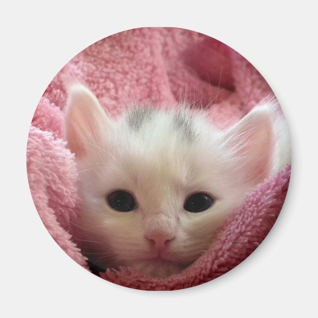 Íman Soft Kitten (Frente)