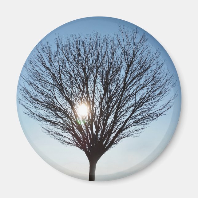 Íman Sol de inverno (Frente)
