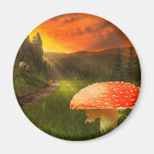 Sol de Outono Poente.