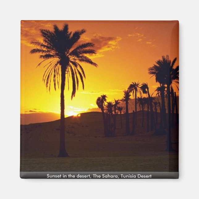Íman Sol no deserto, Saara, Deserto da Tunísia (Frente)