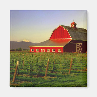 Íman Sol noturno num celeiro em Washington Skagit