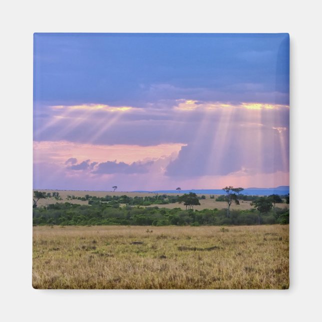 Íman Sol se pondo no Masai Mara. (Frente)