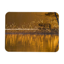 Solitário corrido pelo lago à luz do ouro