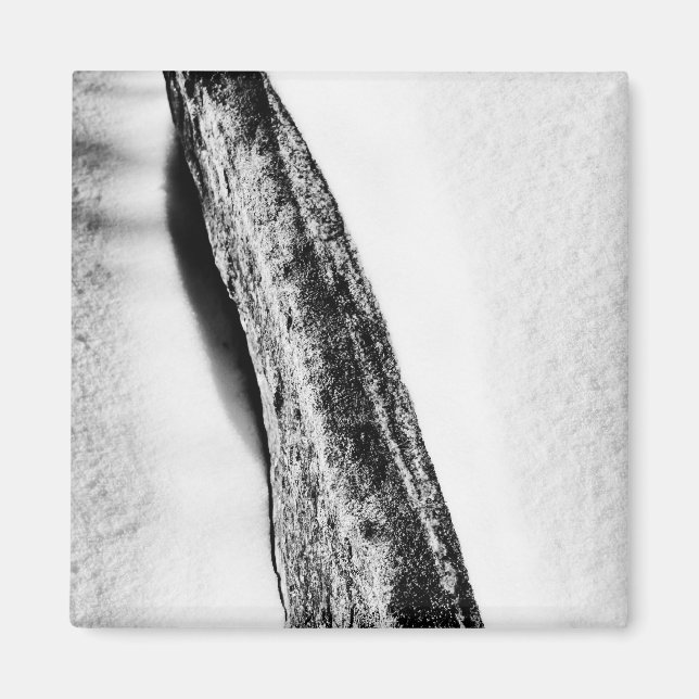 Íman solitário frio de duro longo (Frente)