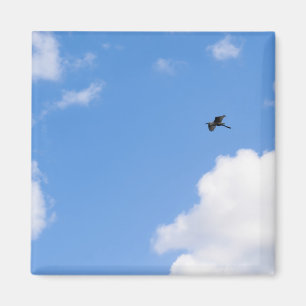 Íman Solitary Bird Soaring Through Bright Blue Sky with