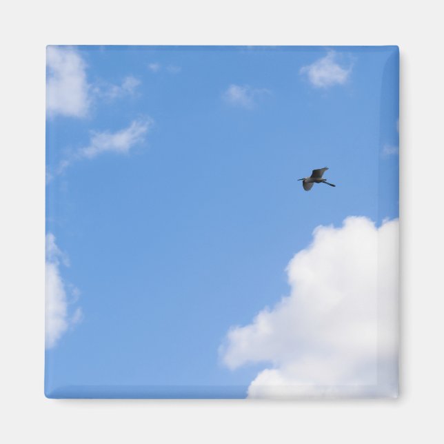 Íman Solitary Bird Soaring Through Bright Blue Sky with (Frente)