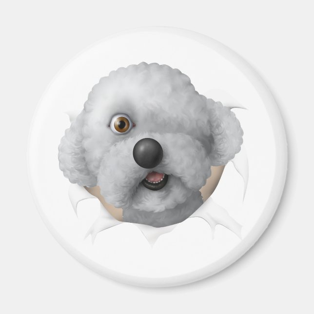 Íman solomon chestburster (Frente)