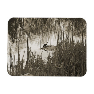 Íman Solstício de inverno