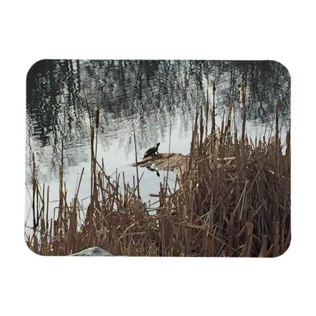 Íman Solstício de inverno (Horizontal)