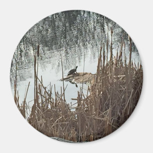 Íman Solstício de Inverno