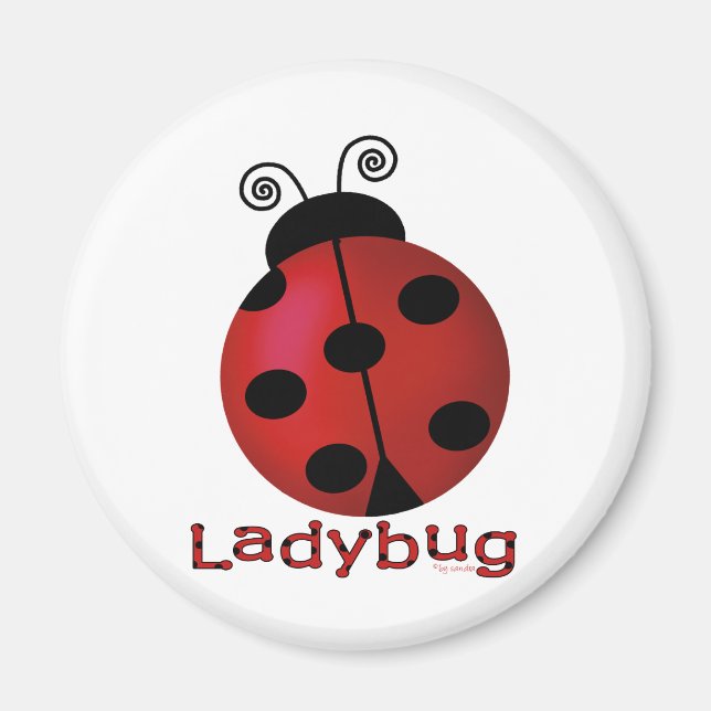 Íman Solteiro Ladybug (Frente)