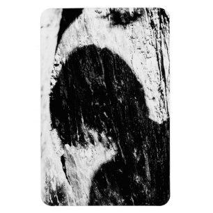 Íman sombra adolescente