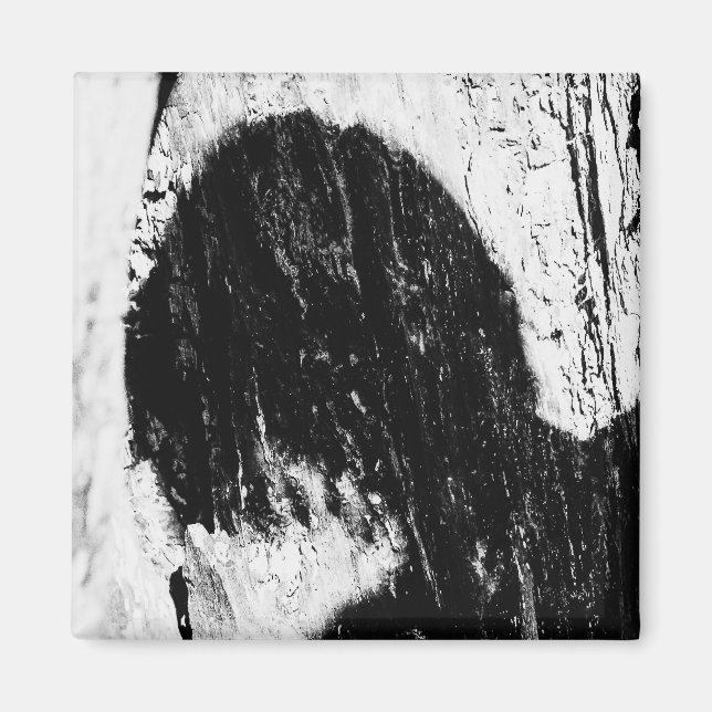 Íman sombra adolescente (Frente)