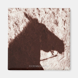 Íman sombra da cabeça de cavalo da equitação no jasp