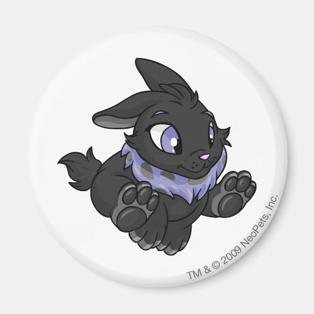 Íman Sombra do Cybunny (Frente)