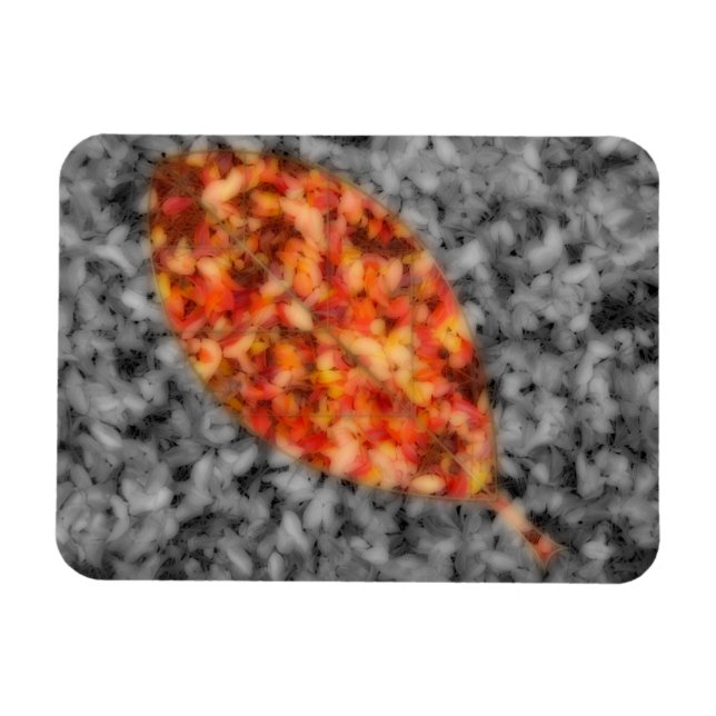 Íman Sombras Brilhantes, Magneta Flexível (Horizontal)