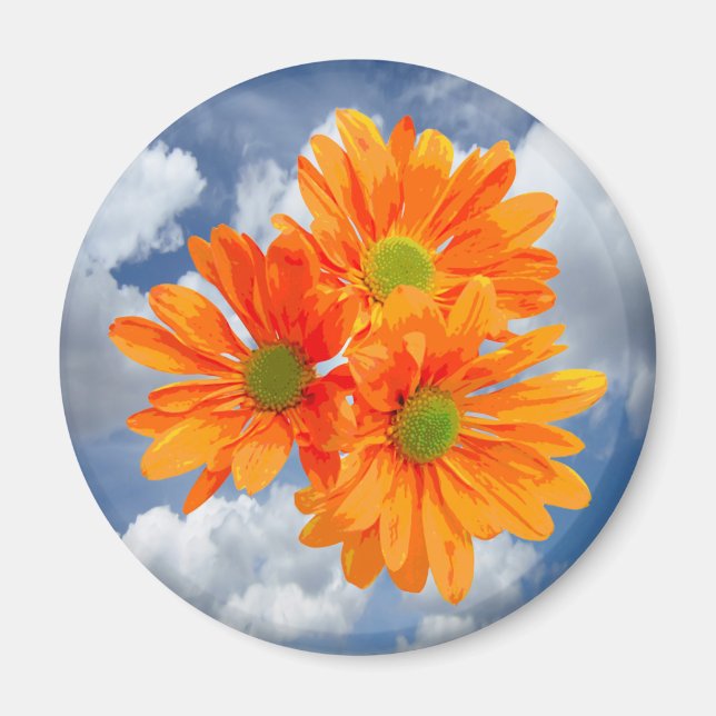 Íman Somente 3 Gerbera Daisy Blossoms + seu texto e sua (Frente)