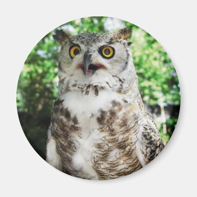 ÍMAN " SOMENTE " O MAGNET OWL (Frente)