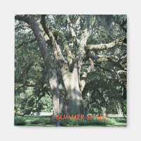 SOMMER SHADE Season Magnet