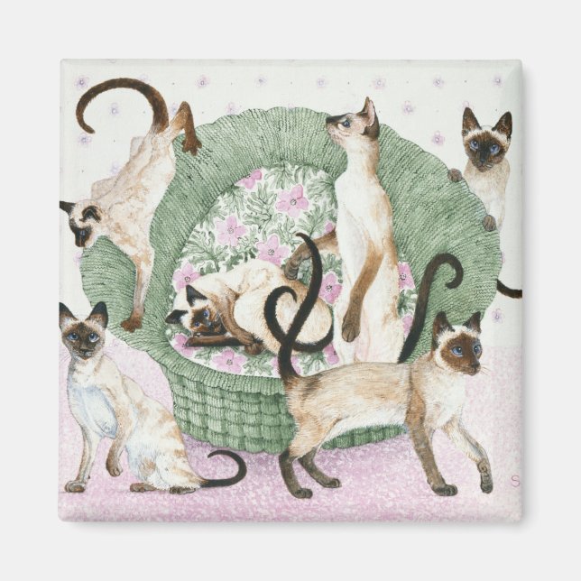 Íman Somos siameses, por favor (Frente)