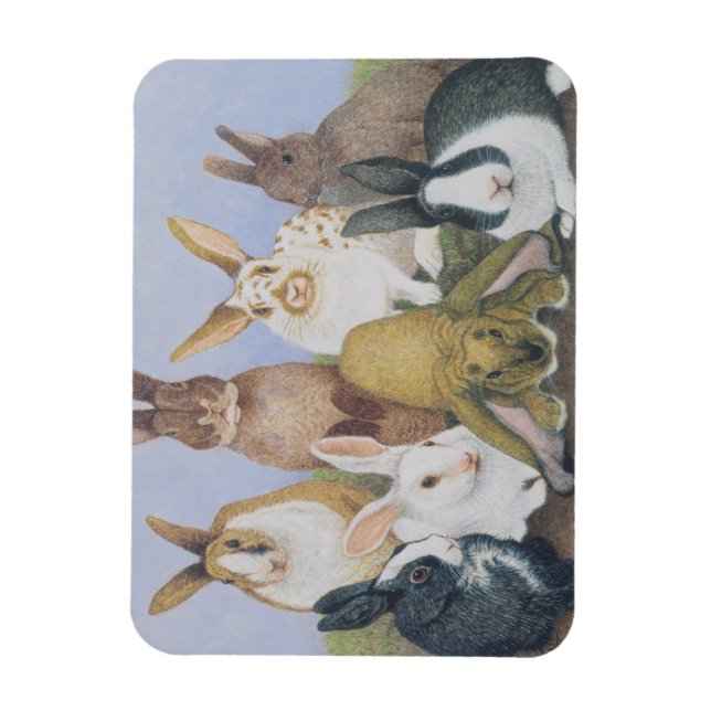 Íman Somos Todos Ouvidos (Vertical)