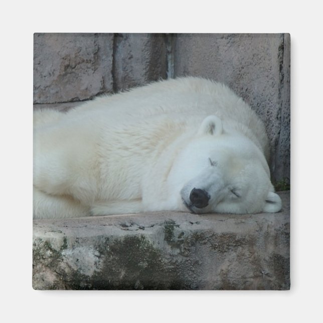 Íman Sonho com Icebergs (Frente)