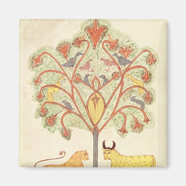 Íman Sonho de Nebuchadnezzar da Bíblia (Frente)