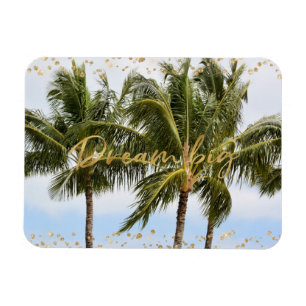 Íman Sonho Dourado com as Palmeiras de Kauai Hawaii