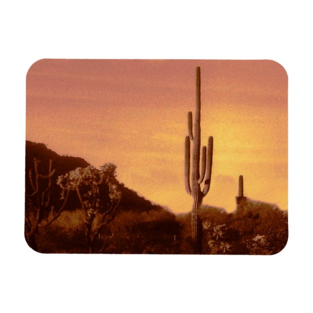 Íman Sonoran desert sunset (Horizontal)