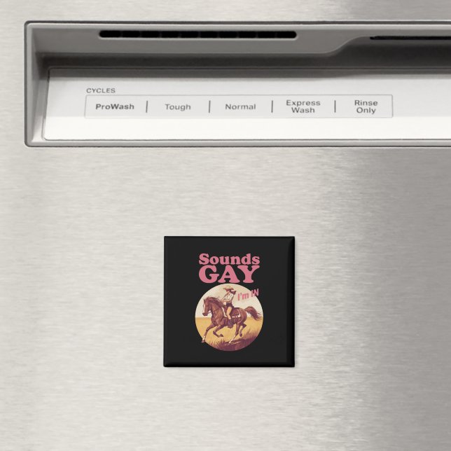 Íman Sons Gay, estou no progresso do orgulho ocidental  (In Situ (Dishwasher))